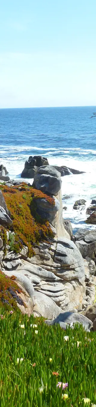 Erlebe Perfektion auf einer grandiosen Küstenstrecke